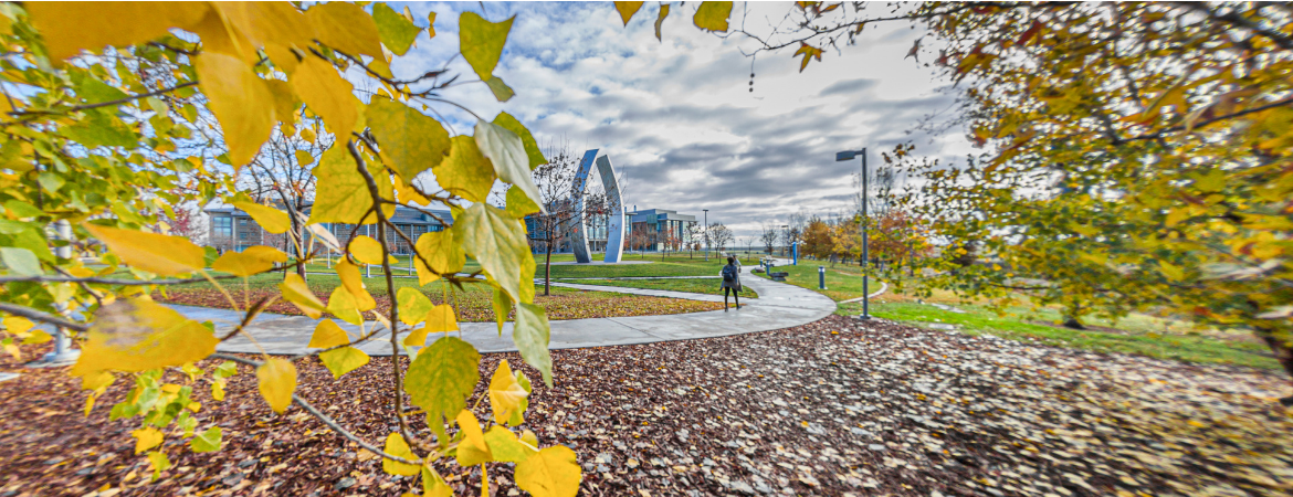 UC Merced Beginnings sculpture surrounded by fall leaves